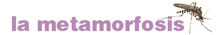 la metamorfosis