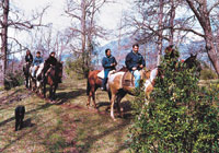Entre las variadísimas actividades no podían faltar las cabalgatas.