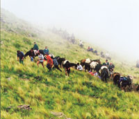 Entre la bruma, caballos y jinetes trepan las laderas de los cerros.