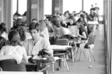 /fotos/20020527/notas/pag12.jpg