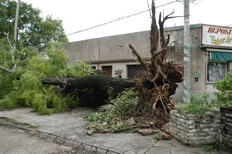 /fotos/rosario/20090209/notas_o/05A.JPG