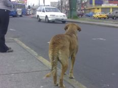 /fotos/rosario/20130303/notas_o/12a.jpg