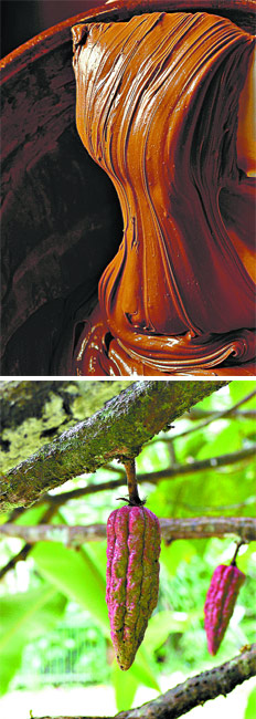 /fotos/turismo/20081102/notas_t/cacao.jpg